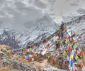 annapurna base camp