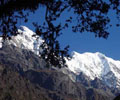 center himalaya, manaslu trek, manaslu adventure circuit trek